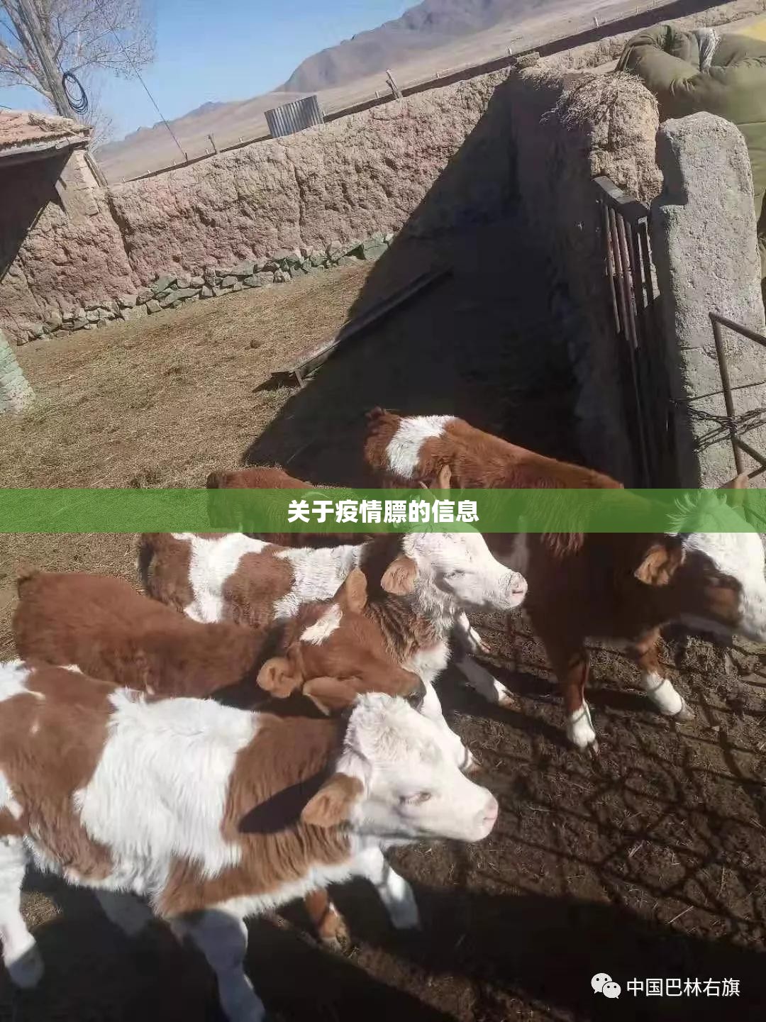 关于疫情膘的信息 关于疫情膘的信息