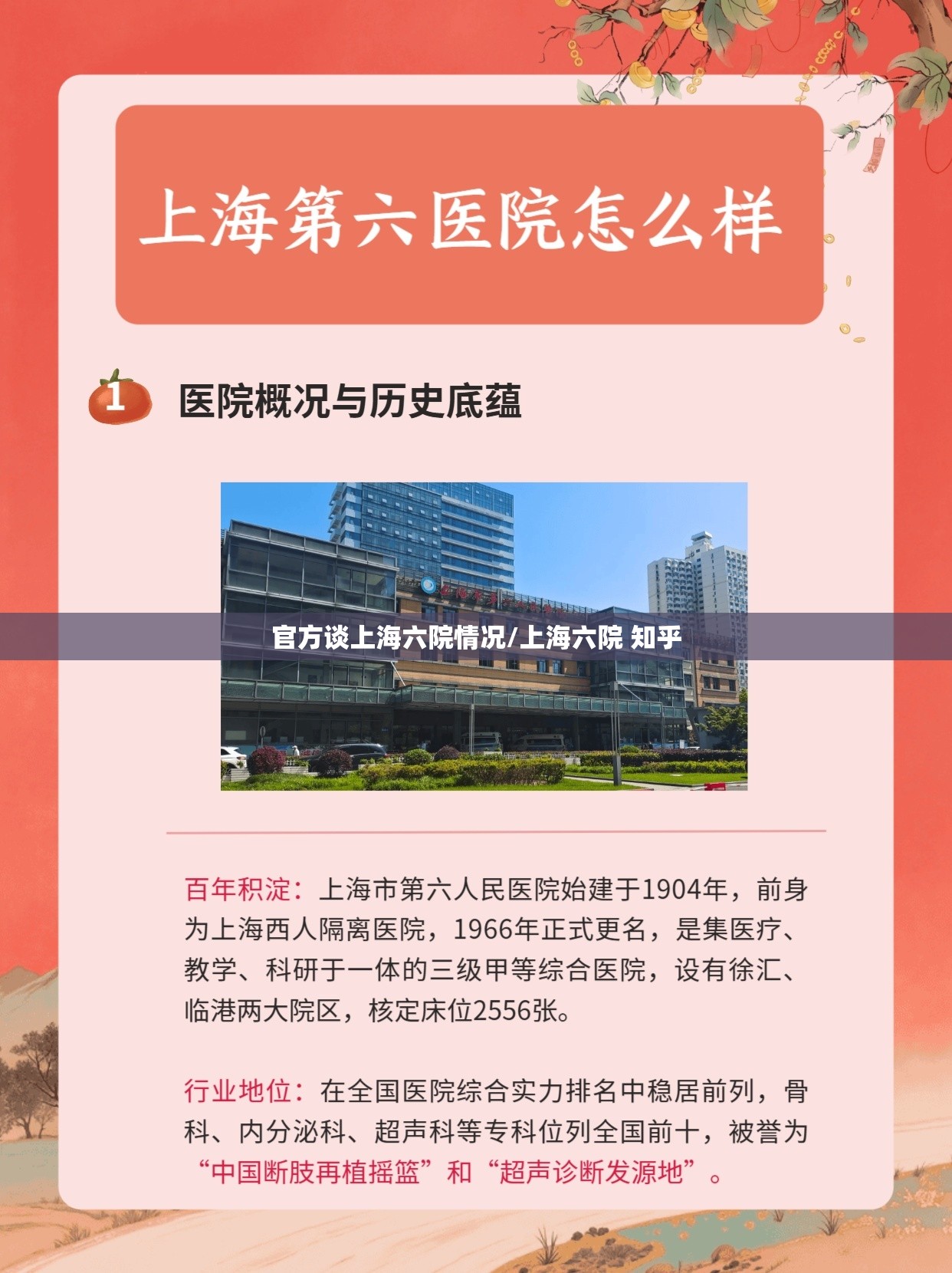 官方谈上海六院情况/上海六院 知乎