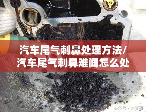 汽车尾气刺鼻处理方法/汽车尾气刺鼻难闻怎么处理 汽车尾气刺鼻处理方法/汽车尾气刺鼻难闻怎么处理