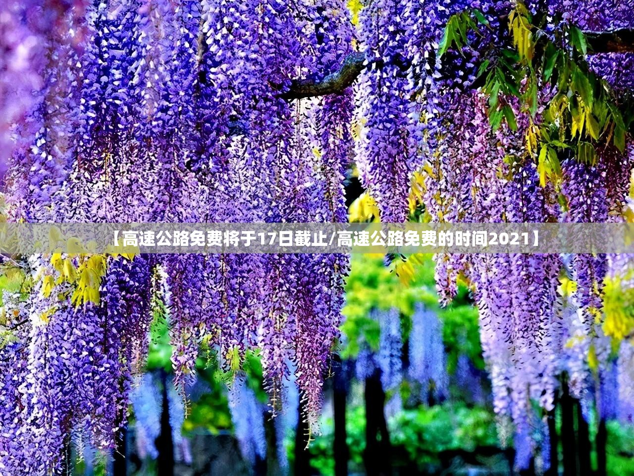【高速公路免费将于17日截止/高速公路免费的时间2021】