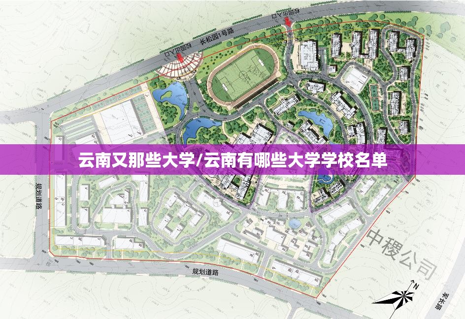 云南又那些大学/云南有哪些大学学校名单