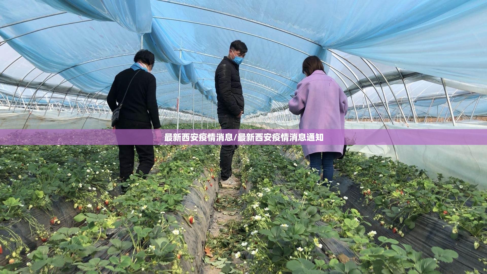 最新西安疫情消息/最新西安疫情消息通知