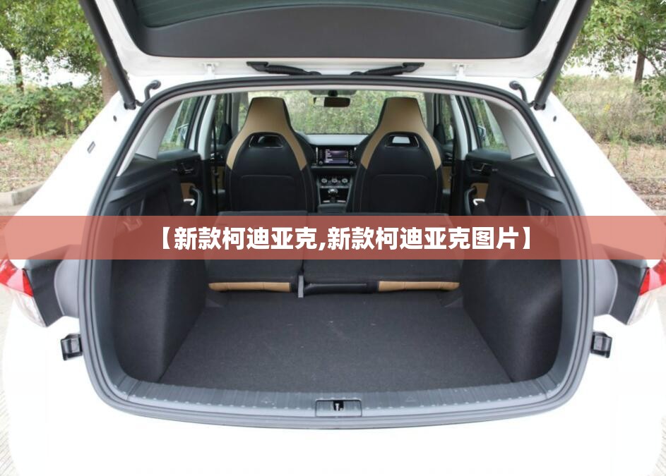 【新款柯迪亚克,新款柯迪亚克图片】 【新款柯迪亚克,新款柯迪亚克图片】