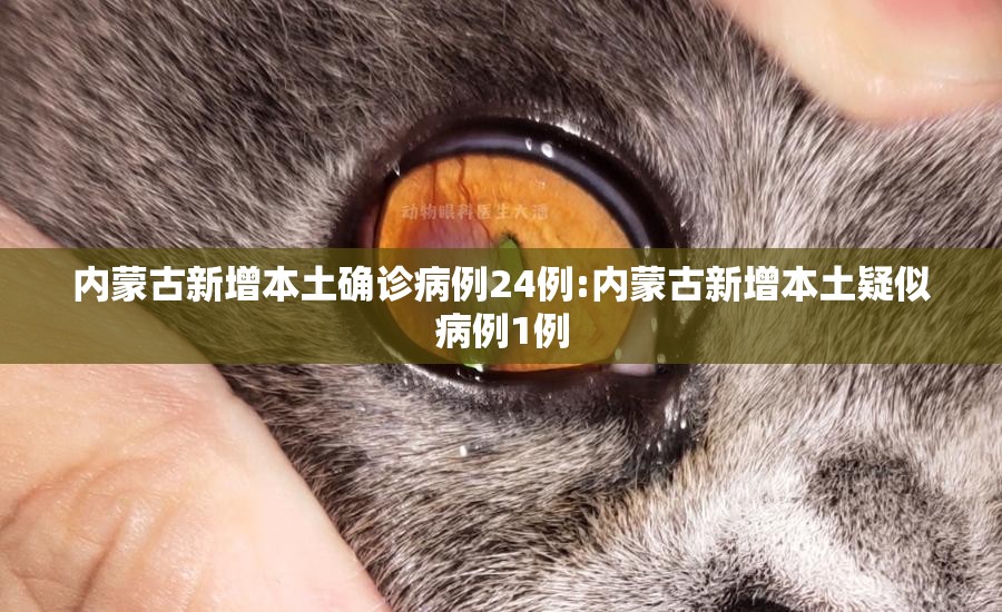 内蒙古新增本土确诊病例24例:内蒙古新增本土疑似病例1例