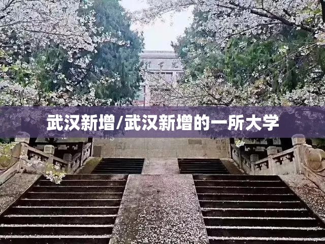 武汉新增/武汉新增的一所大学 武汉新增/武汉新增的一所大学
