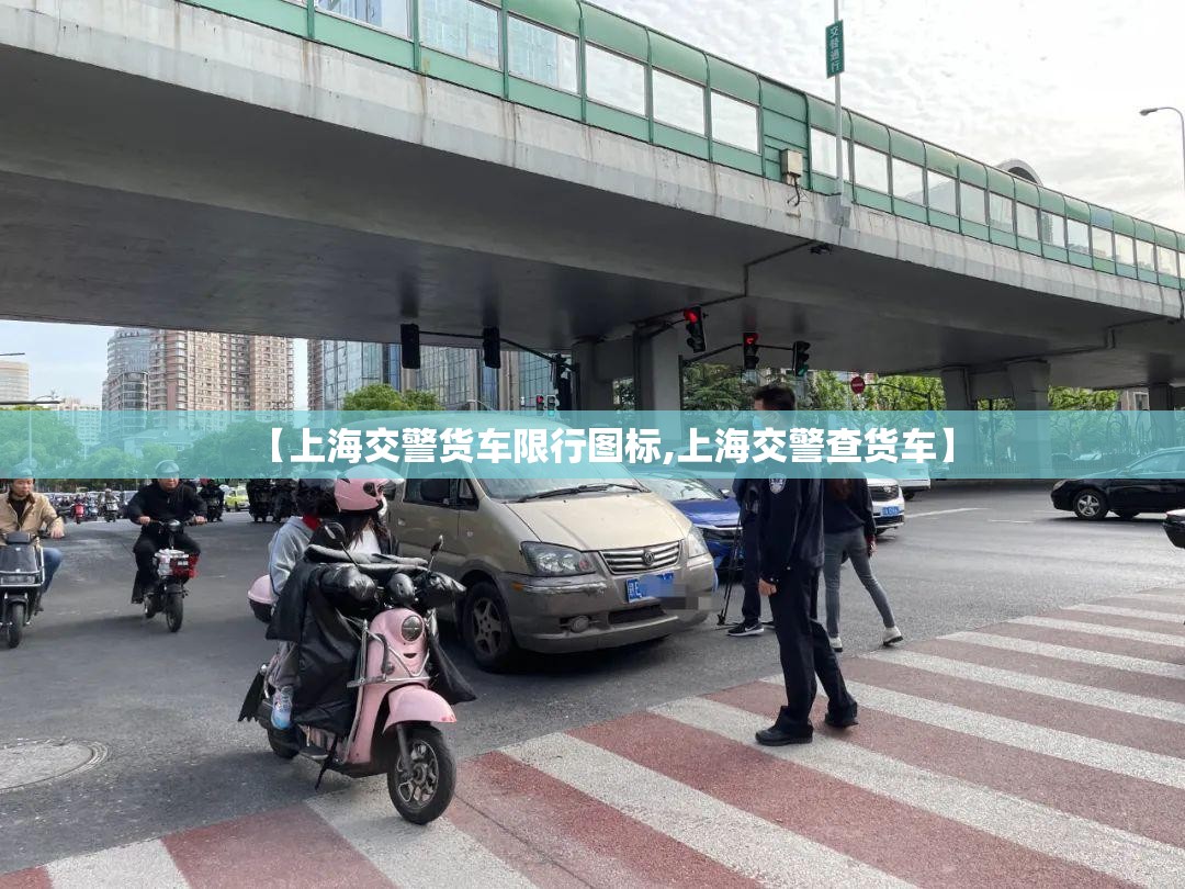 【上海交警货车限行图标,上海交警查货车】