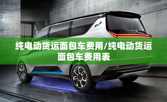 纯电动货运面包车费用/纯电动货运面包车费用表