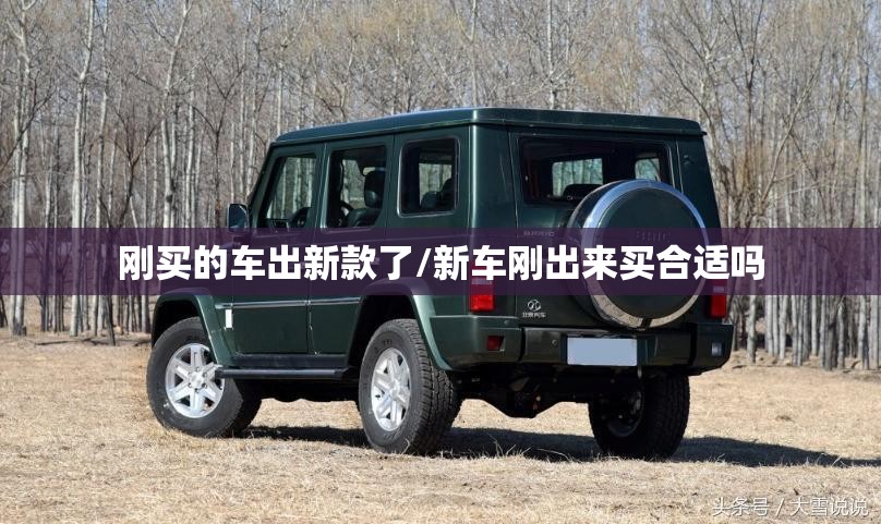 刚买的车出新款了/新车刚出来买合适吗 刚买的车出新款了/新车刚出来买合适吗