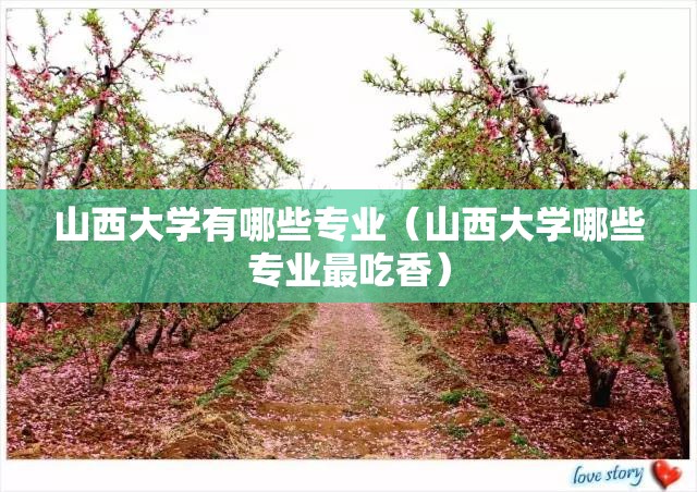 山西大学有哪些专业(山西大学哪些专业最吃香) 山西大学有哪些专业(山西大学哪些专业最吃香)