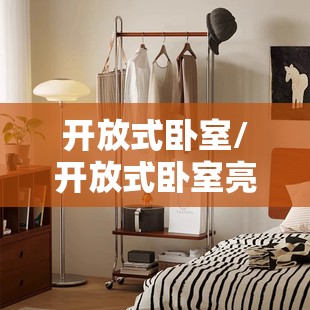 开放式卧室/开放式卧室亮衣架放那里好 开放式卧室/开放式卧室亮衣架放那里好