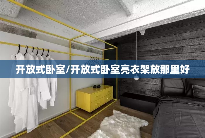 开放式卧室/开放式卧室亮衣架放那里好 开放式卧室/开放式卧室亮衣架放那里好