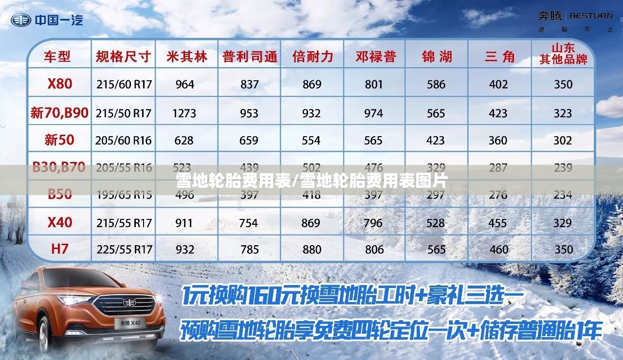 雪地轮胎费用表/雪地轮胎费用表图片