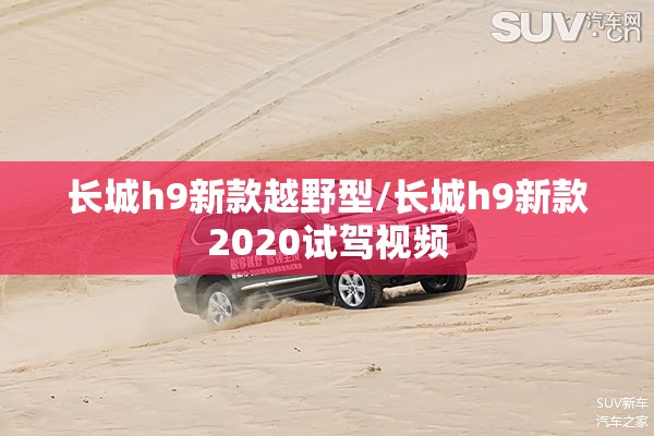 长城h9新款越野型/长城h9新款2020试驾视频