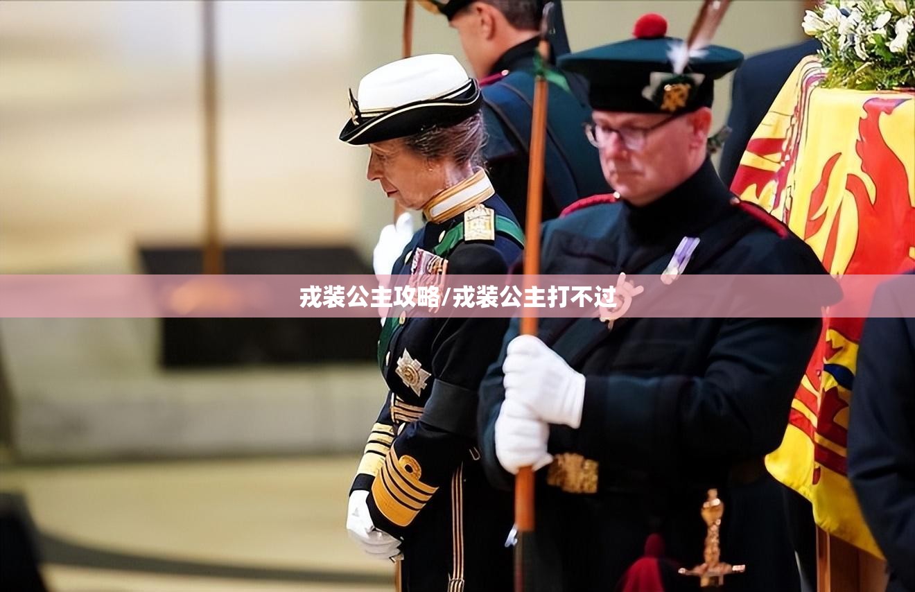 戎装公主攻略/戎装公主打不过 戎装公主攻略/戎装公主打不过