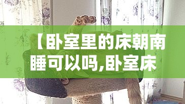 【卧室里的床朝南睡可以吗,卧室床朝南好吗】