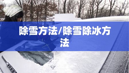 除雪方法/除雪除冰方法