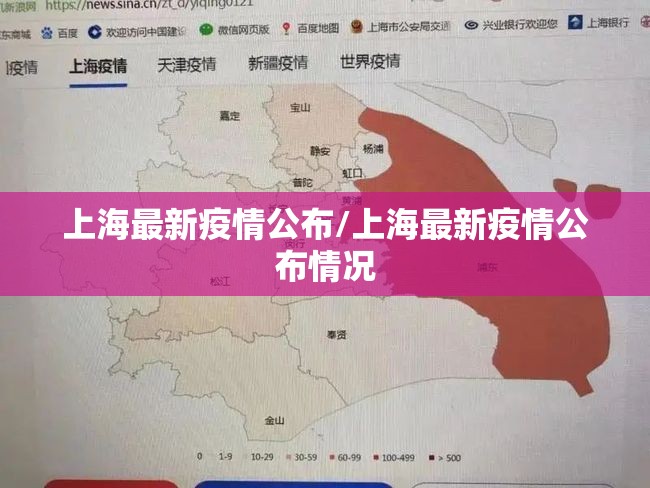 上海最新疫情公布/上海最新疫情公布情况