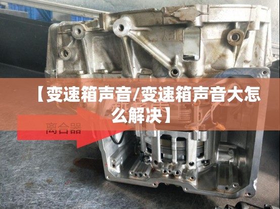 【变速箱声音/变速箱声音大怎么解决】