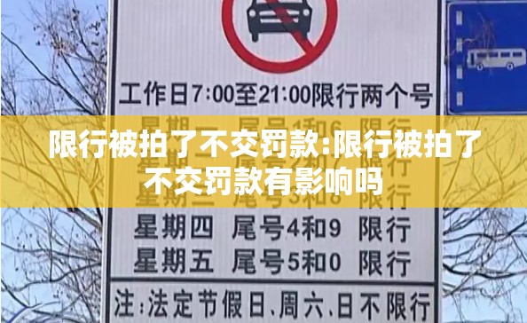 限行被拍了不交罚款:限行被拍了不交罚款有影响吗 限行被拍了不交罚款:限行被拍了不交罚款有影响吗