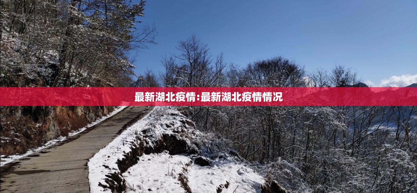 最新湖北疫情:最新湖北疫情情况
