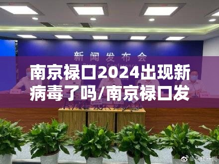 南京禄口2024出现新病毒了吗/南京禄口发现新冠