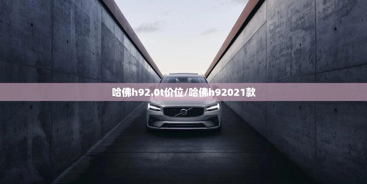 哈佛h92.0t价位/哈佛h92021款