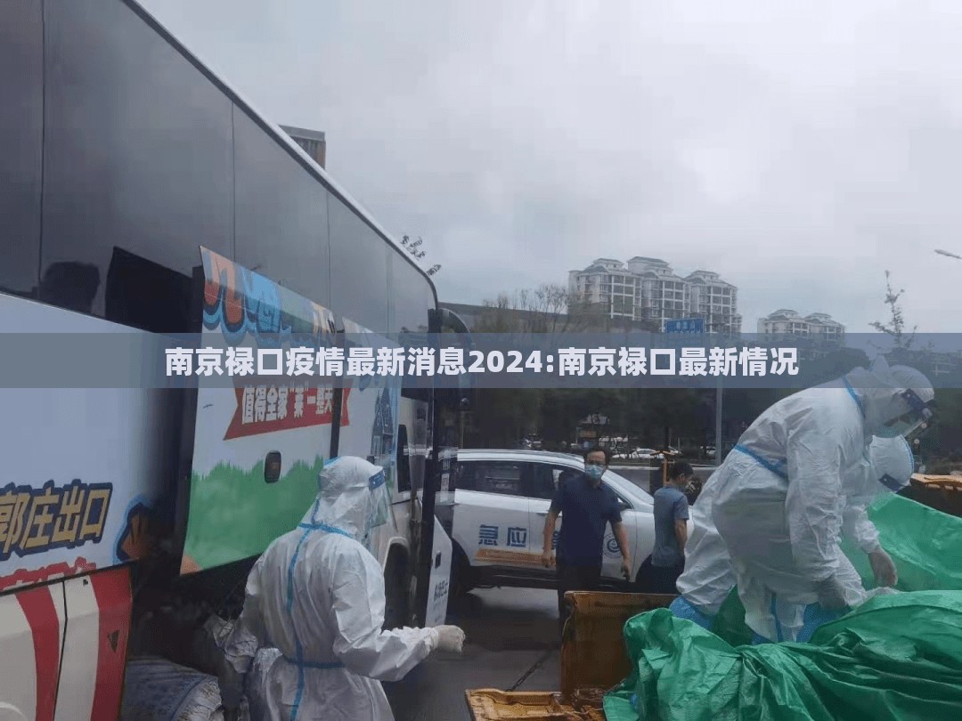 南京禄口疫情最新消息2024:南京禄口最新情况 南京禄口疫情最新消息2024:南京禄口最新情况