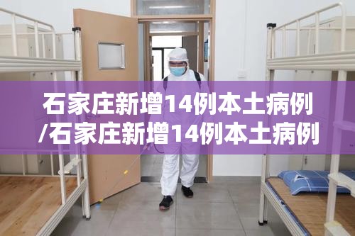 石家庄新增14例本土病例/石家庄新增14例本土病例行动轨迹