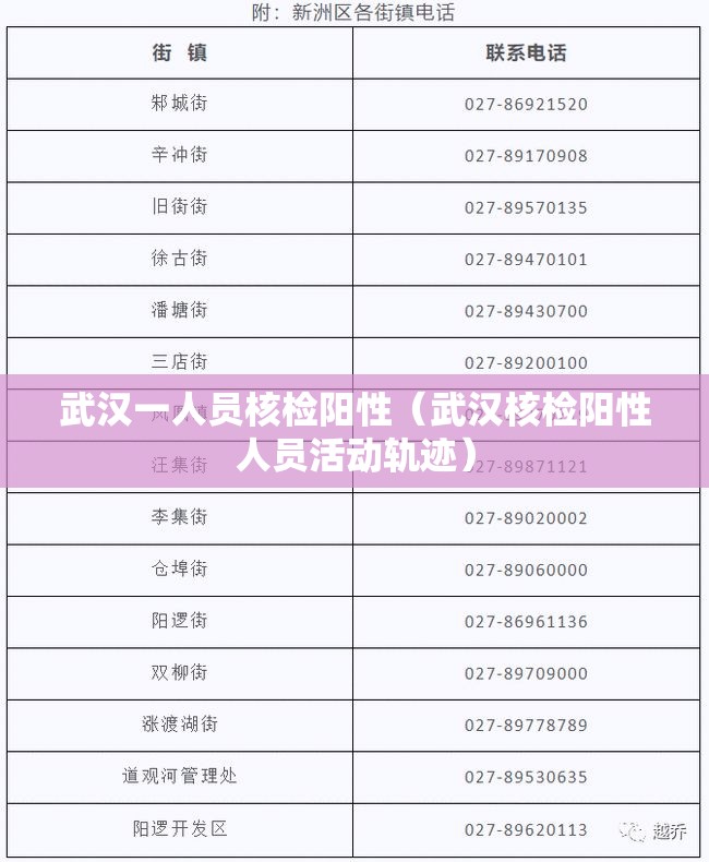武汉一人员核检阳性（武汉核检阳性人员活动轨迹）