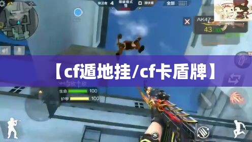 【cf遁地挂/cf卡盾牌】 【cf遁地挂/cf卡盾牌】