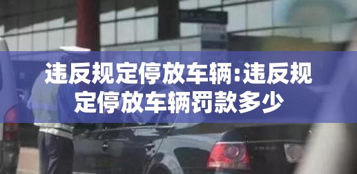 违反规定停放车辆:违反规定停放车辆罚款多少 违反规定停放车辆:违反规定停放车辆罚款多少