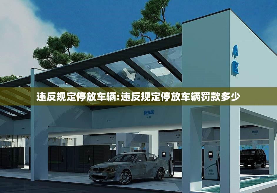 违反规定停放车辆:违反规定停放车辆罚款多少 违反规定停放车辆:违反规定停放车辆罚款多少