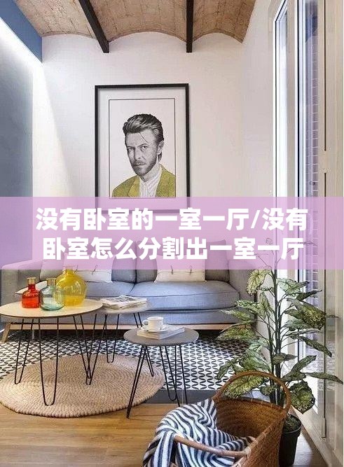 没有卧室的一室一厅/没有卧室怎么分割出一室一厅