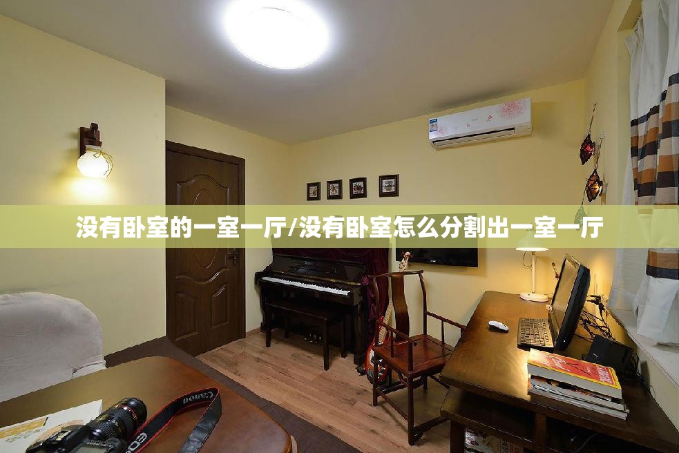 没有卧室的一室一厅/没有卧室怎么分割出一室一厅