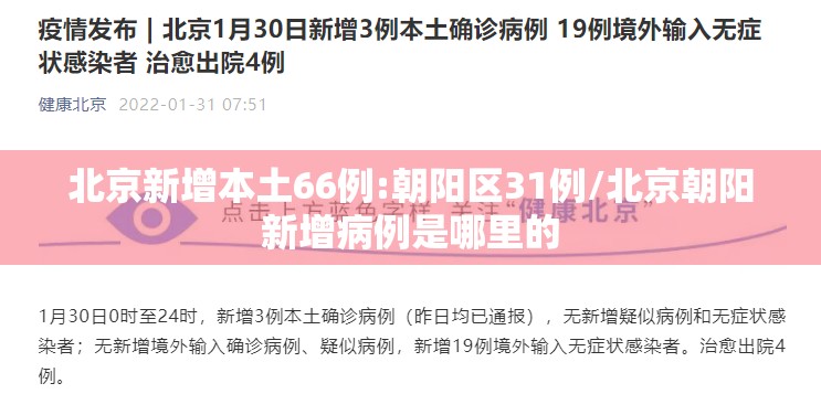 北京新增本土66例:朝阳区31例/北京朝阳新增病例是哪里的