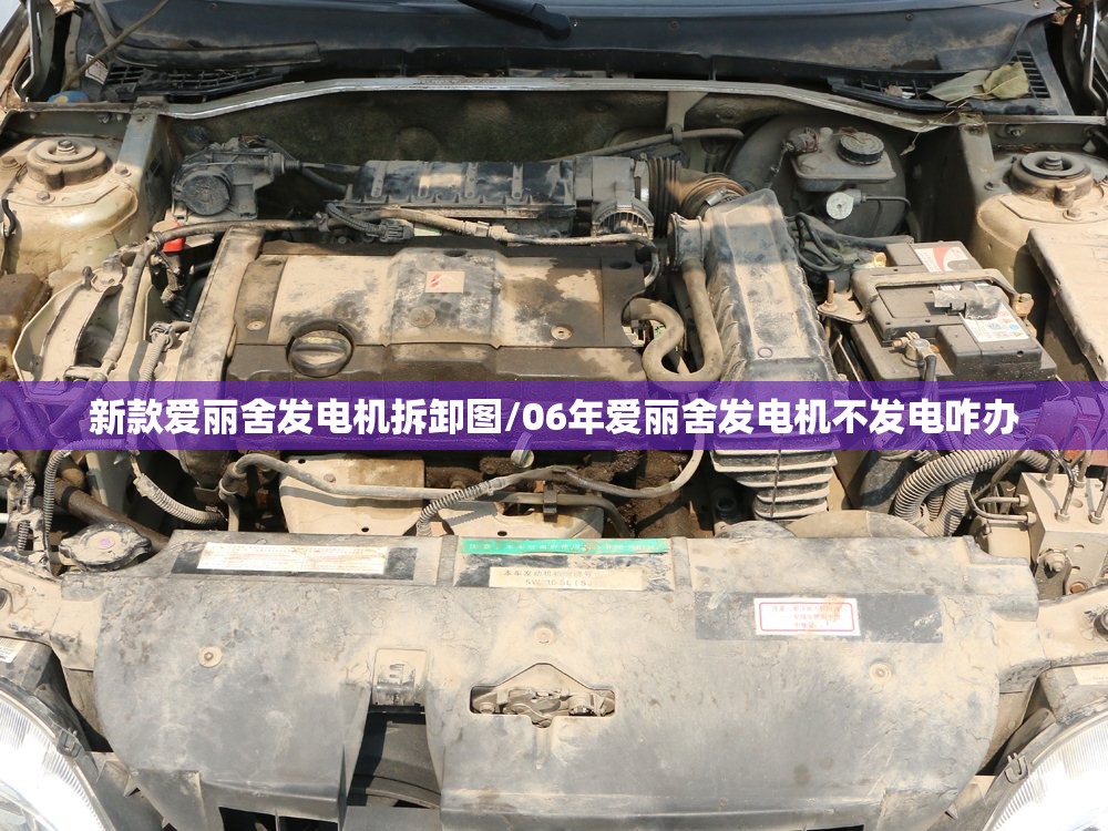 新款爱丽舍发电机拆卸图/06年爱丽舍发电机不发电咋办