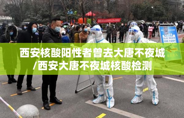 西安核酸阳性者曾去大唐不夜城/西安大唐不夜城核酸检测