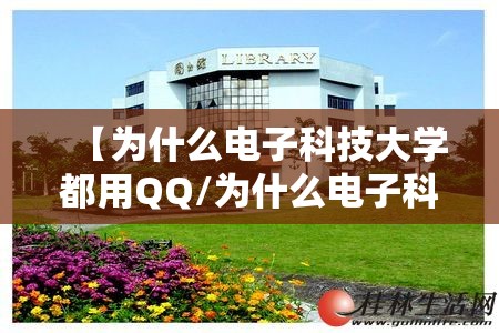 【为什么电子科技大学都用QQ/为什么电子科技大学有专科】 【为什么电子科技大学都用QQ/为什么电子科技大学有专科】