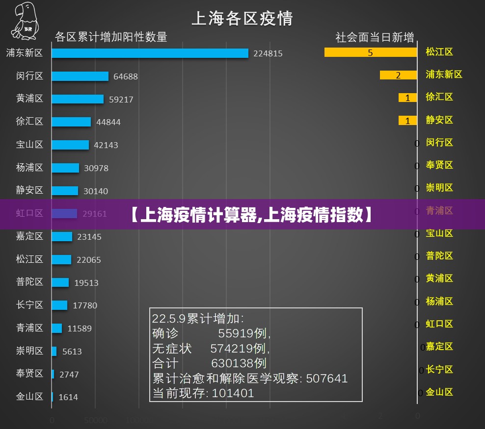 【上海疫情计算器,上海疫情指数】