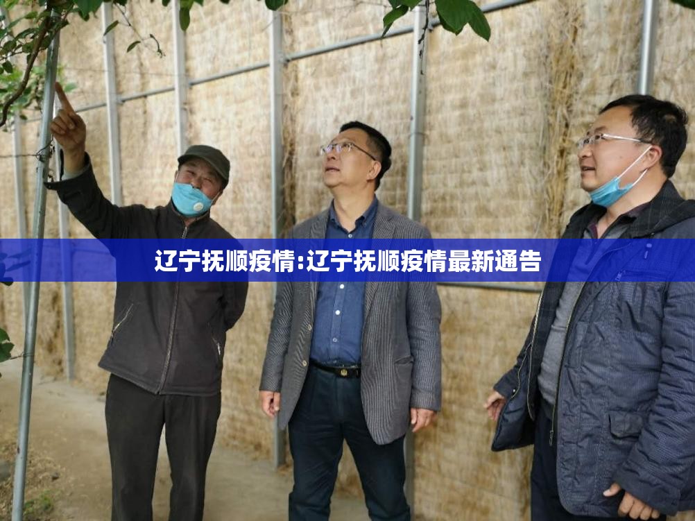 辽宁抚顺疫情:辽宁抚顺疫情最新通告 辽宁抚顺疫情:辽宁抚顺疫情最新通告