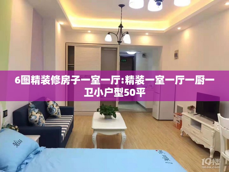 6图精装修房子一室一厅:精装一室一厅一厨一卫小户型50平