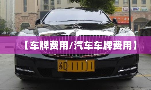 【车牌费用/汽车车牌费用】 【车牌费用/汽车车牌费用】