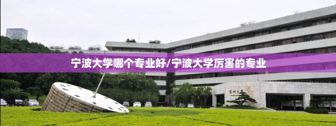 宁波大学哪个专业好/宁波大学厉害的专业 宁波大学哪个专业好/宁波大学厉害的专业