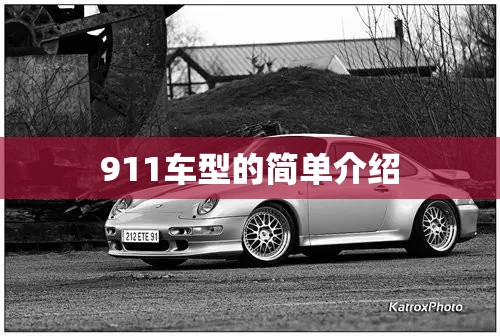 911车型的简单介绍 911车型的简单介绍