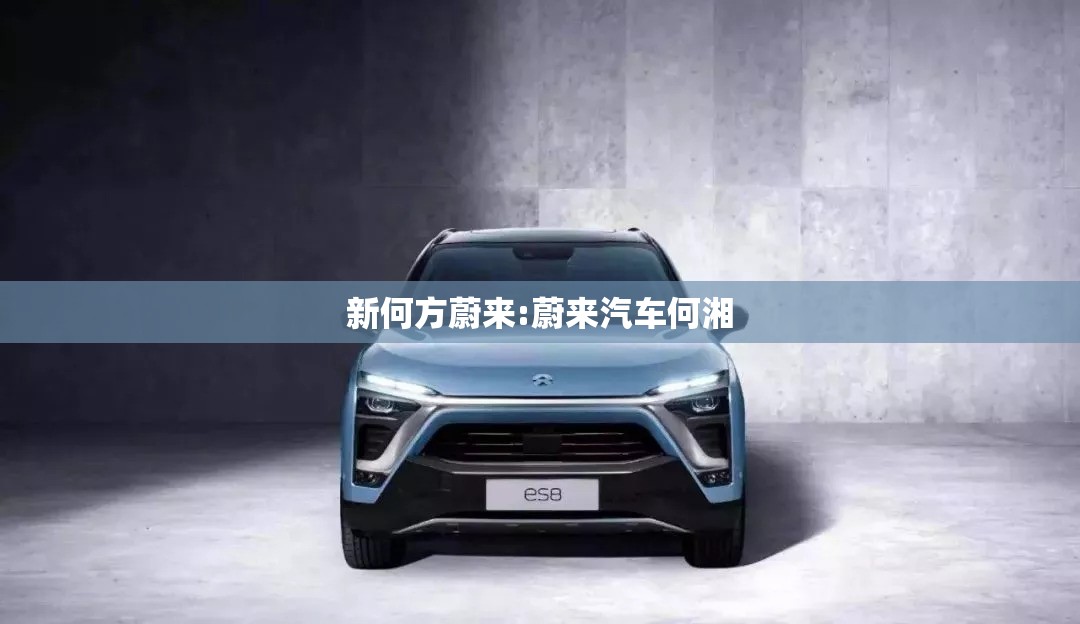 新何方蔚来:蔚来汽车何湘 新何方蔚来:蔚来汽车何湘