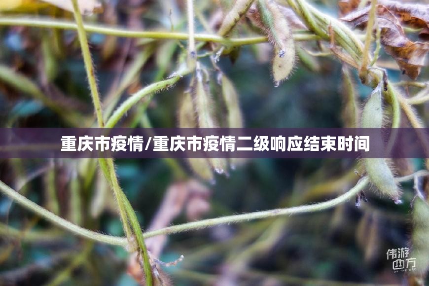 重庆市疫情/重庆市疫情二级响应结束时间