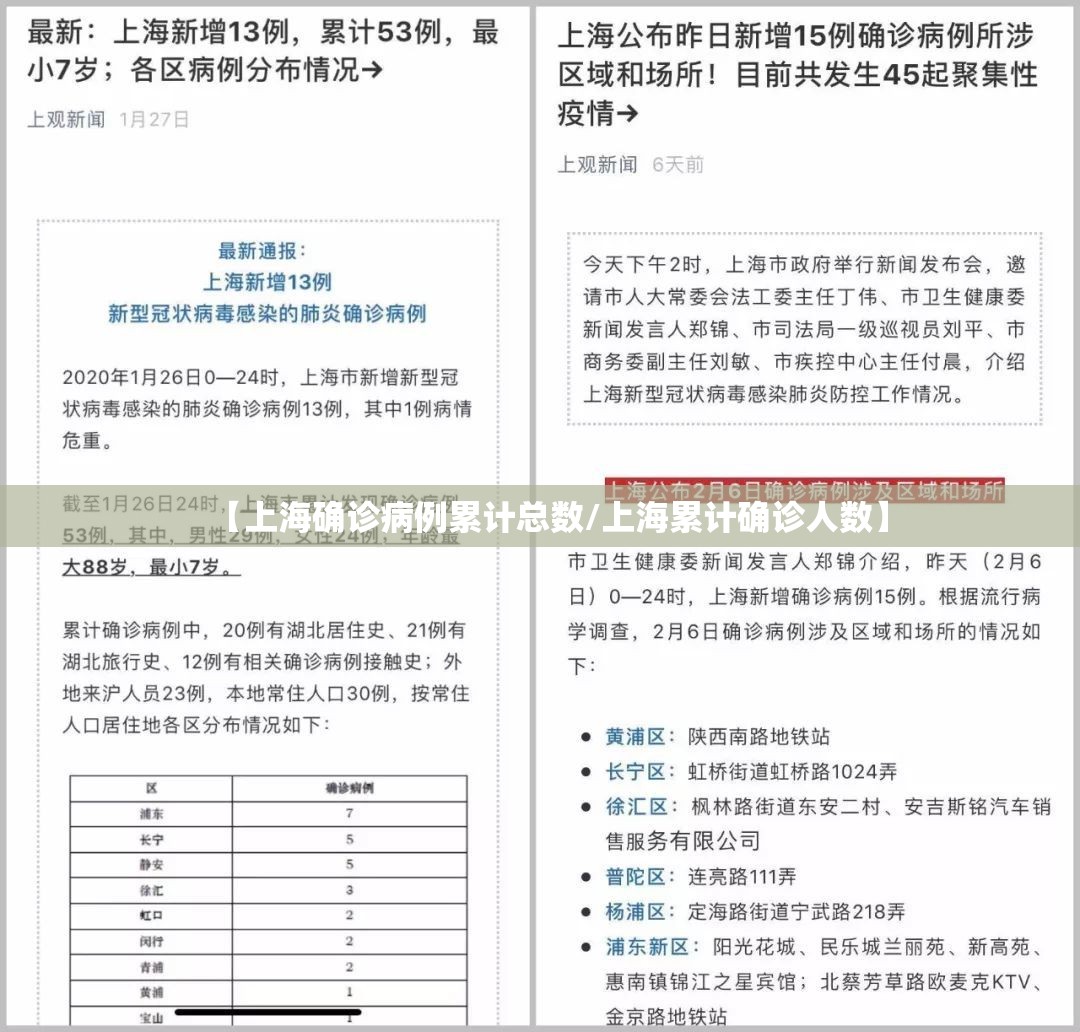 【上海确诊病例累计总数/上海累计确诊人数】