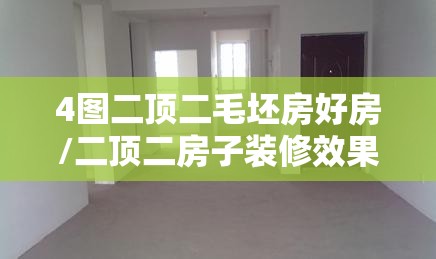 4图二顶二毛坯房好房/二顶二房子装修效果图