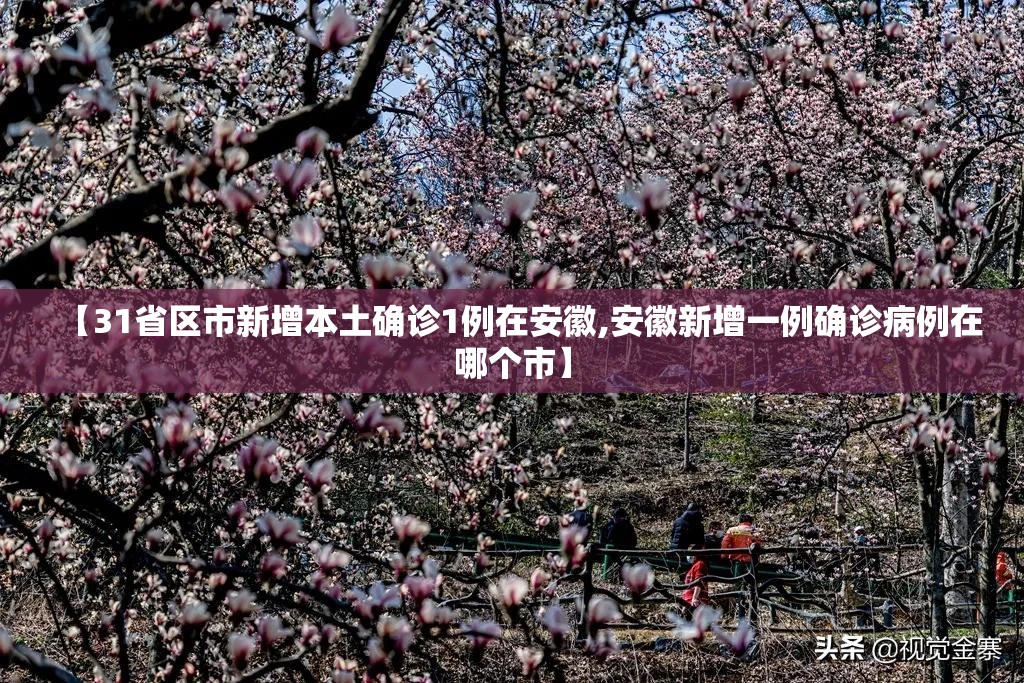 【31省区市新增本土确诊1例在安徽,安徽新增一例确诊病例在哪个市】