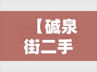 【碱泉街二手房精装修/碱泉二街属于哪个派出所】